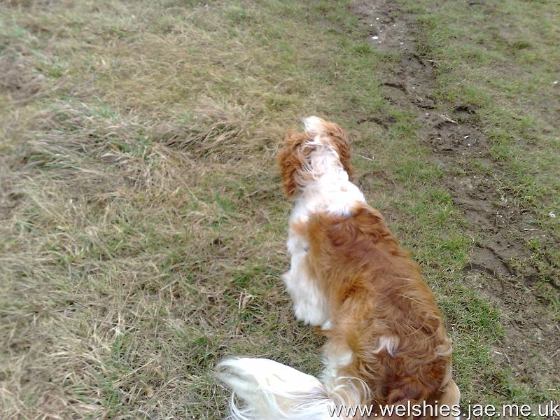 2011-02-05 18.jpg